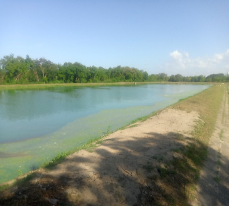 Pre Construction Image Sample